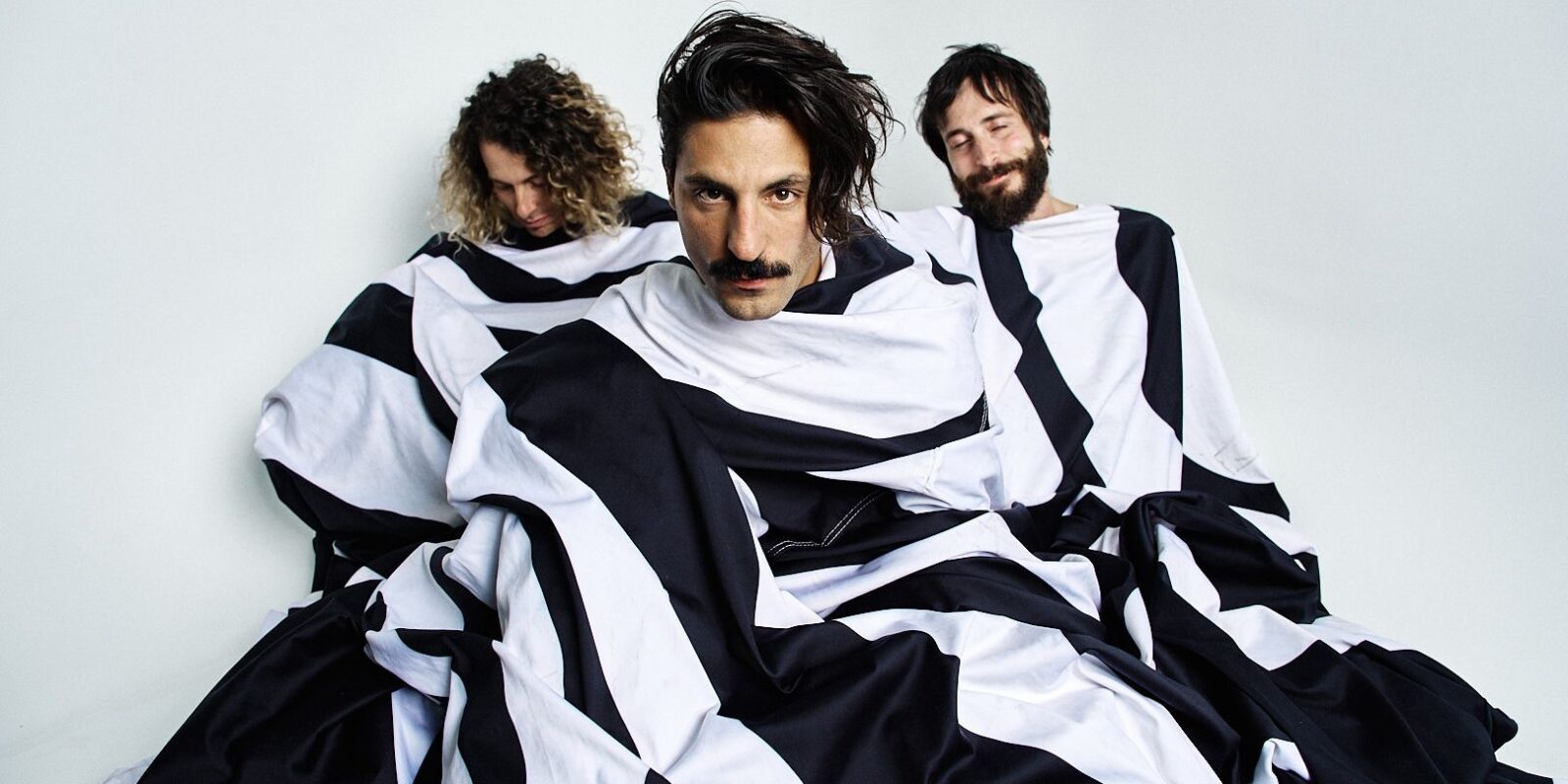 Sexy Zebras