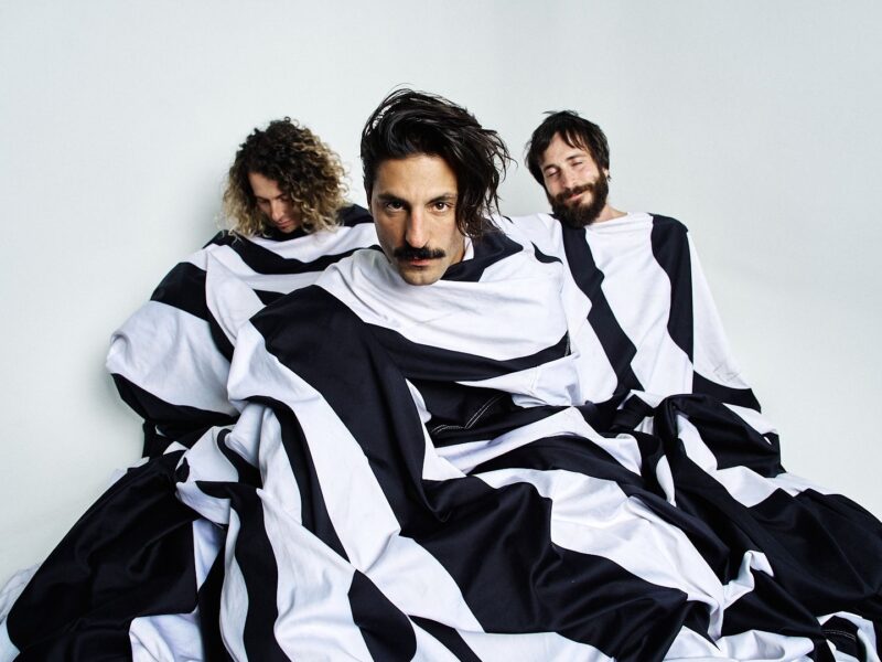 Sexy Zebras